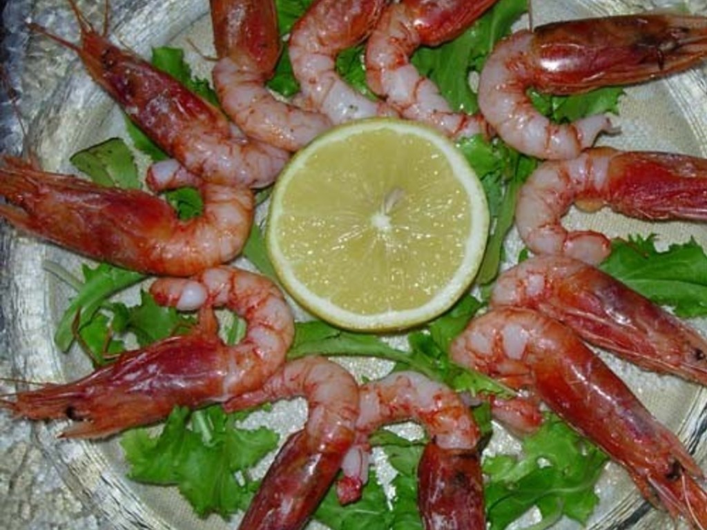 Gamberi light
