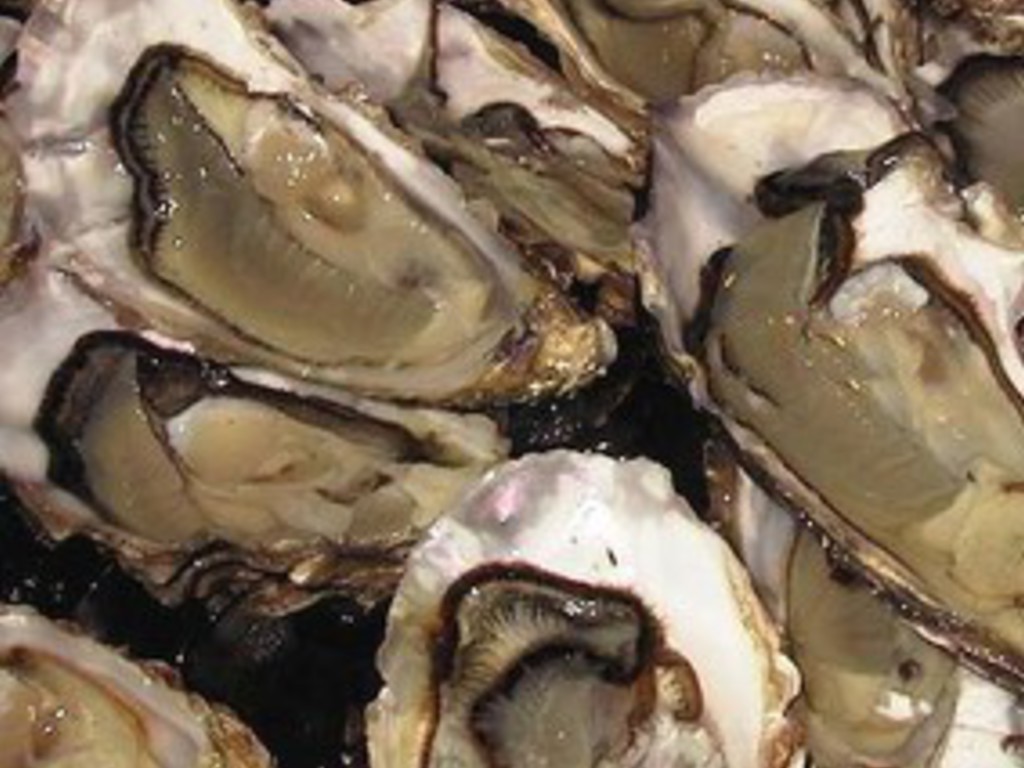 Ostriche al naturale