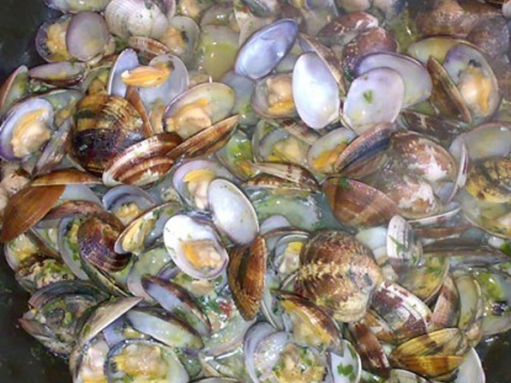 Sauté di vongole