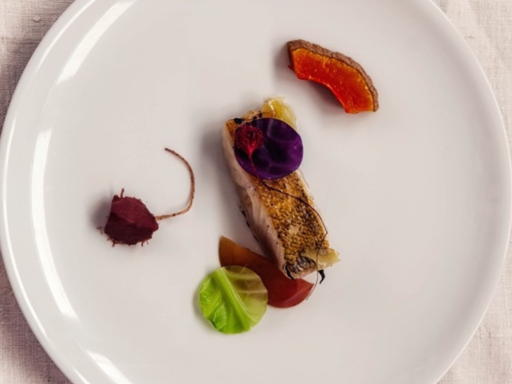 Luccio perca, zucca, zenzero candito, mela, verza e uva agrodolce
