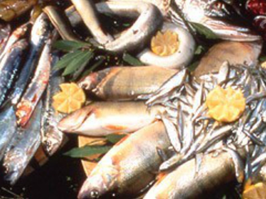 Rondelle di pesce di lago in agrodolce in salsa balsamica