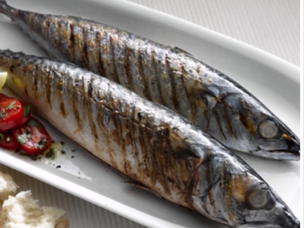 Sgombri grigliati con pomodorini