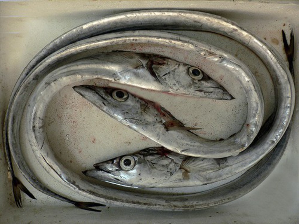 Filetto di pesce sciabola in umido