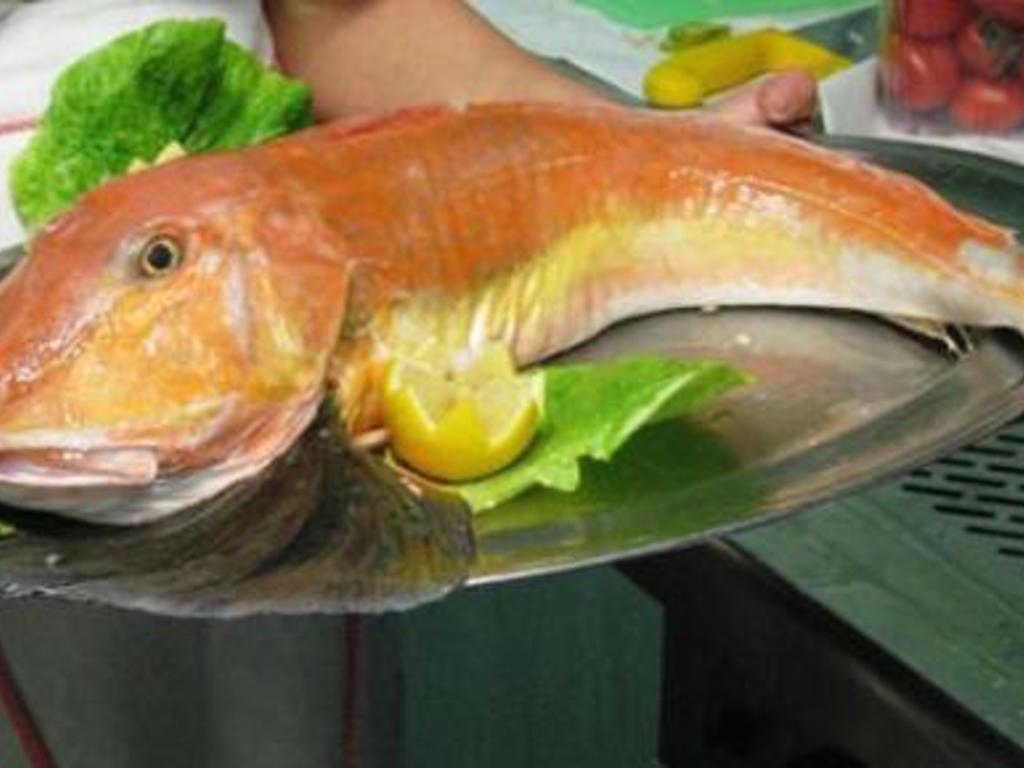 Gallinella di mare alla maniera dei marinai