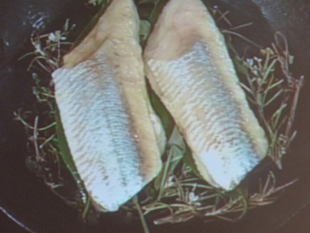 L' Aringa di Salvatore Tassa