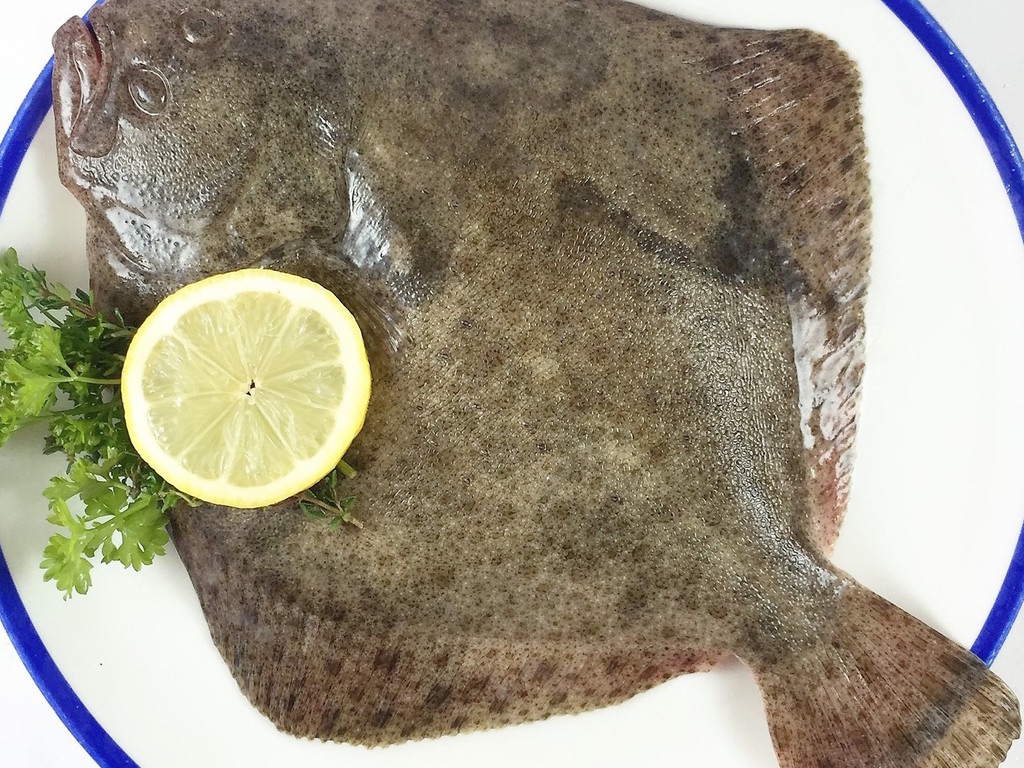 Rombo con carciofi
