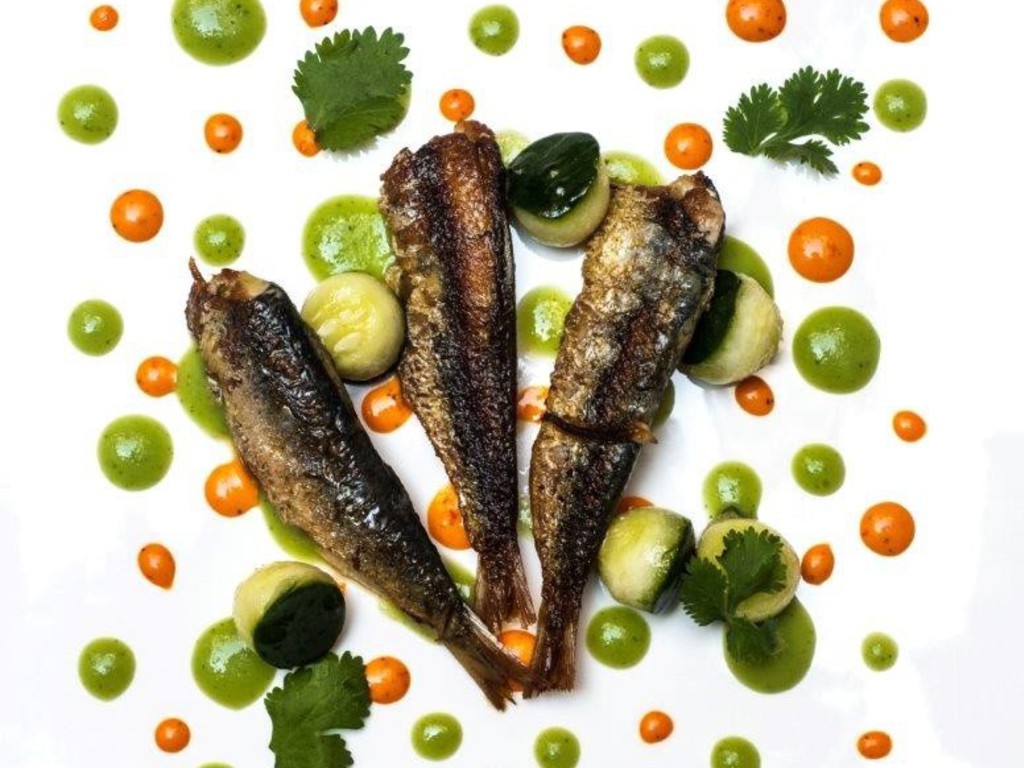 Sarde arrostite e profumate al coriandolo e lime, con insalata di cetrioli e salsa di chili grigliato