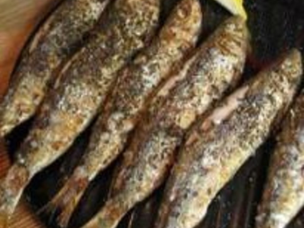 Sardine arrostite