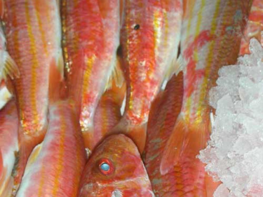 Triglie alla Rosetana