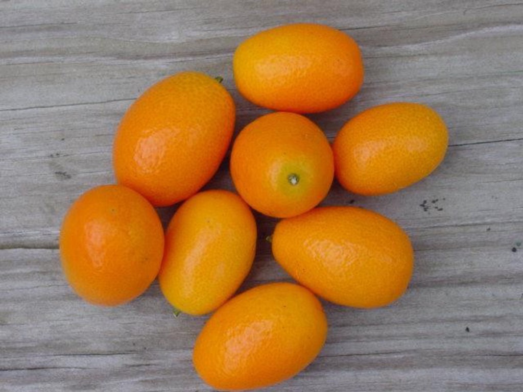 Kumquat al cognac