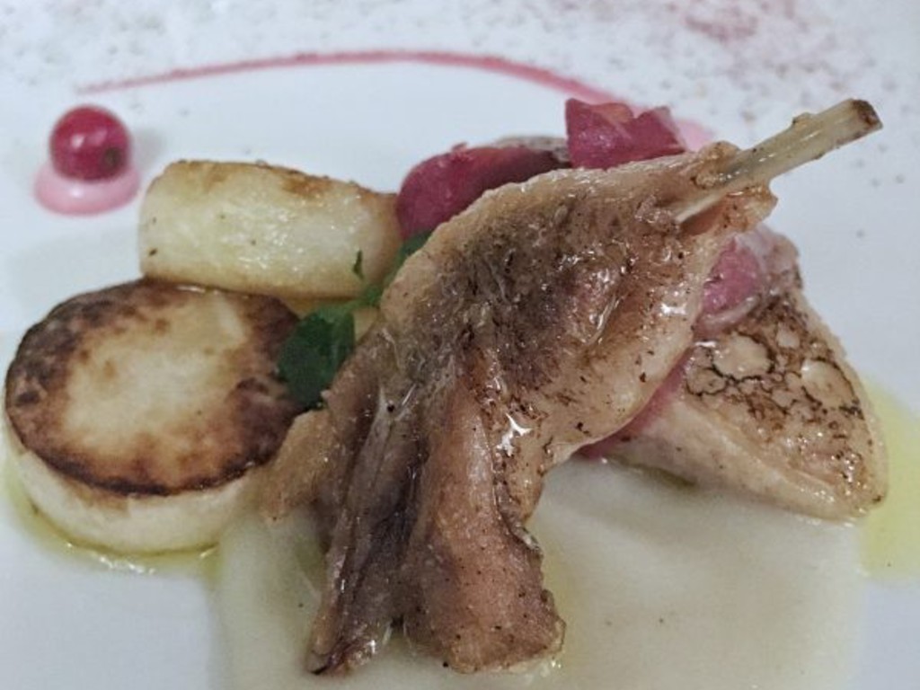 Petto di quaglia al miele e speck d 'oca affumicato in crema di yogurt al ribes, topinambur al forno.