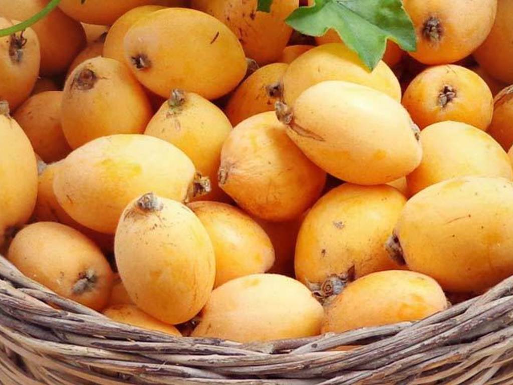 Liquore alle nespole
