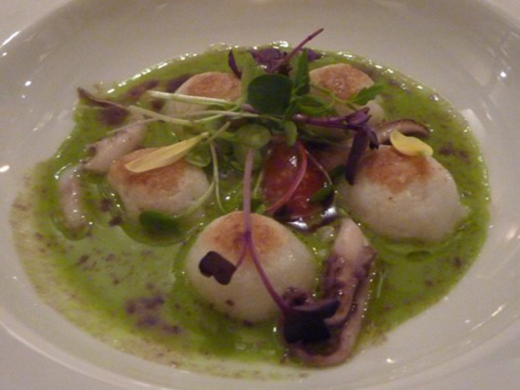 Insalata liquida con gnocchi di seppia  alla plancia