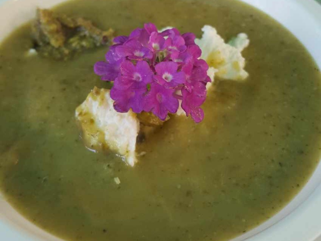 Crema di zucchine con ricotta e pistacchi tritati