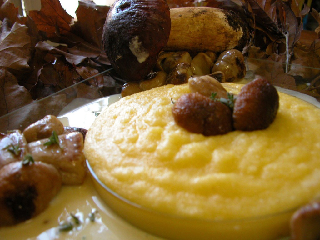 Polenta con intingolo di funghi