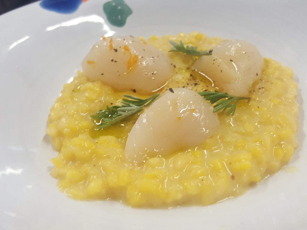 Mungotto
