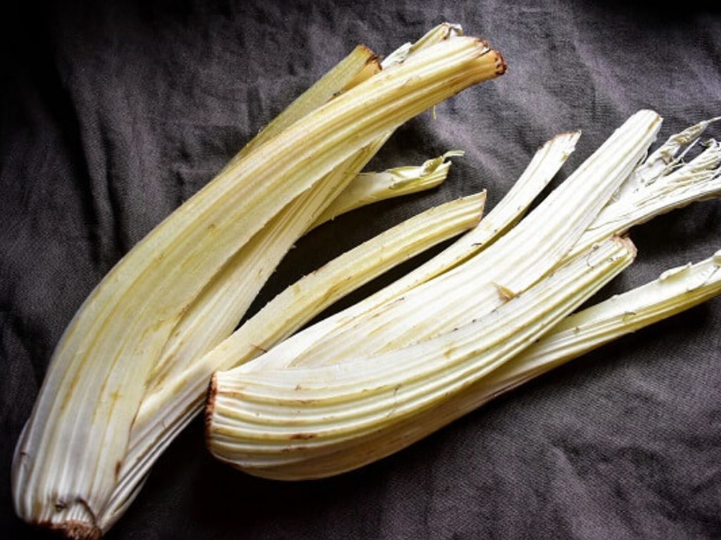 Parmigiana di gobbi