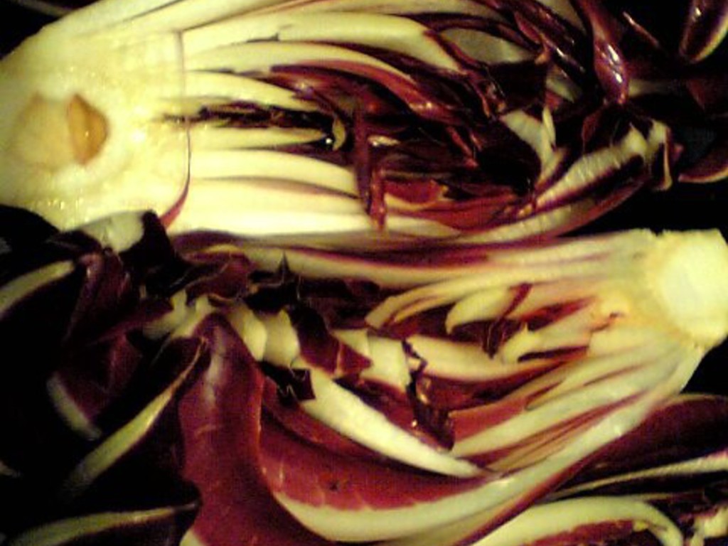 Radicchio grigliato e cannellini