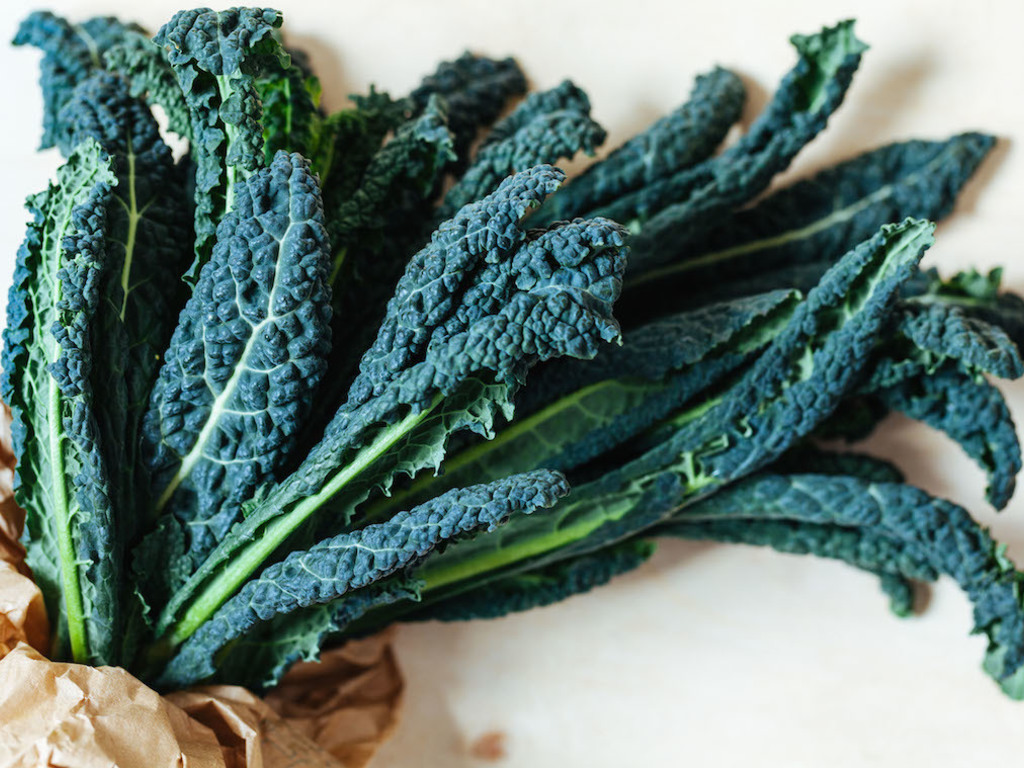 Sformato di minestra di cavolo nero (ribollita) con crema di fagioli cannellini