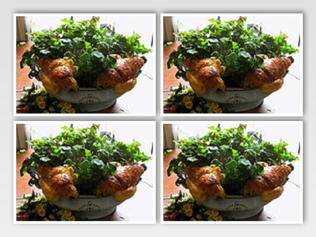 Colombine di pasta Brioche