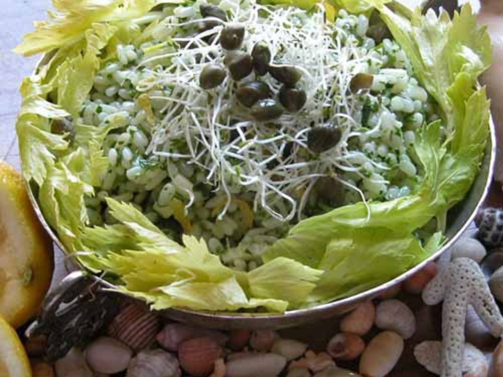 Insalata di riso con erbe aromatiche e germogli