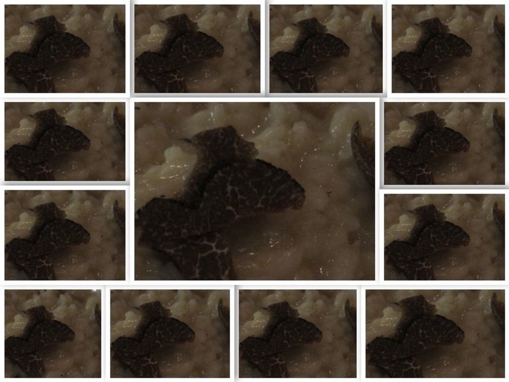 Risotto al tartufo nero