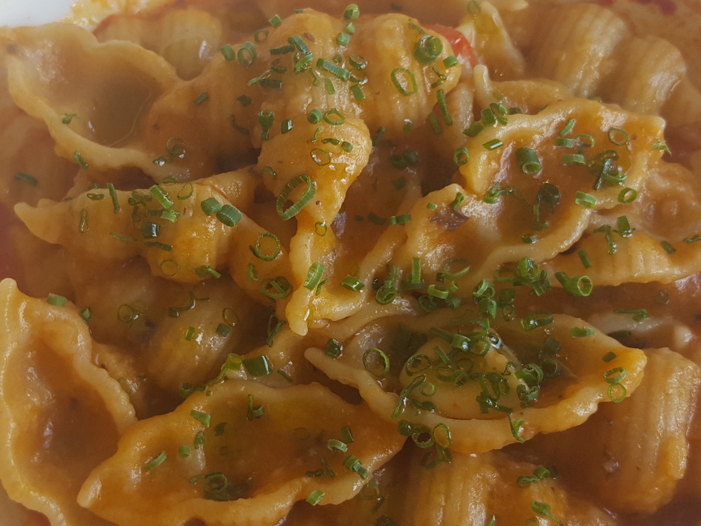 Conchiglioni con salsa di ricotta e pomodoro