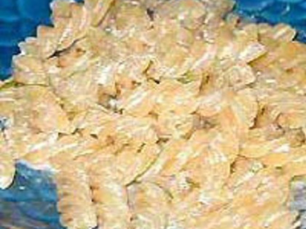 Fusilli alle noci e limone