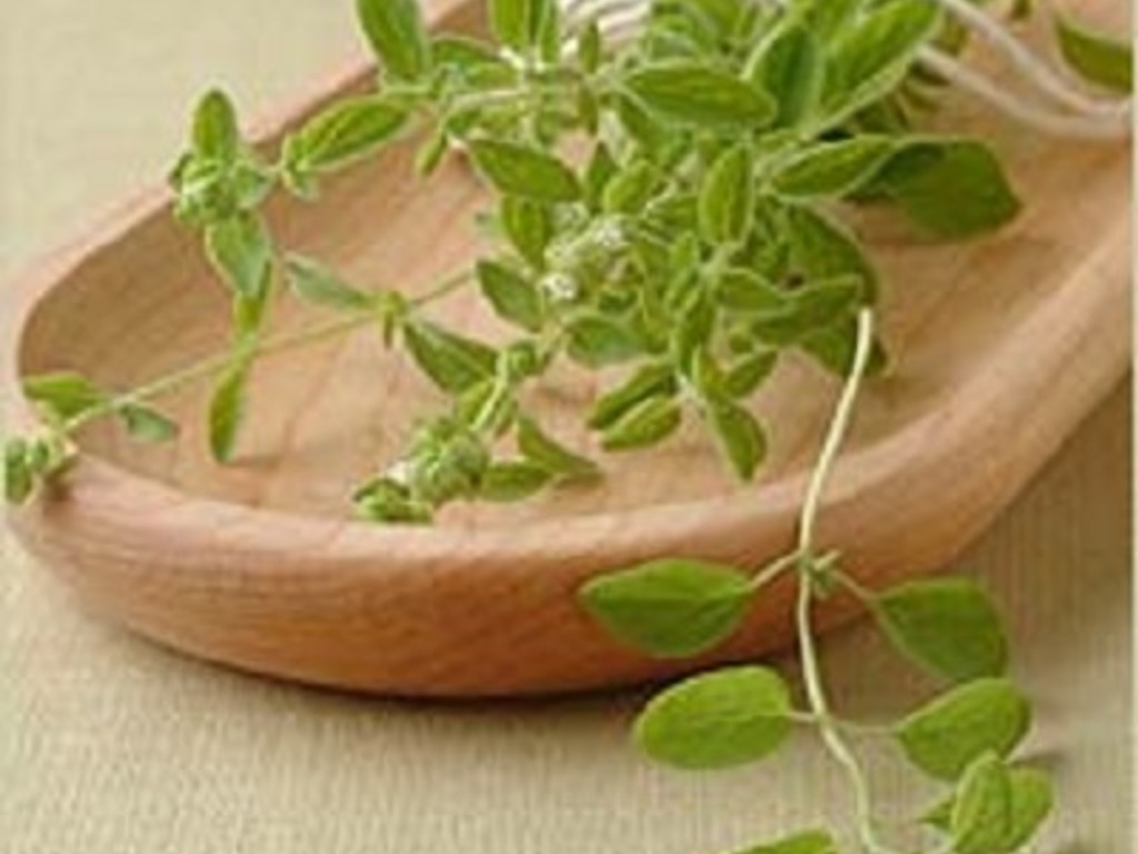 Linguine alla maggiorana