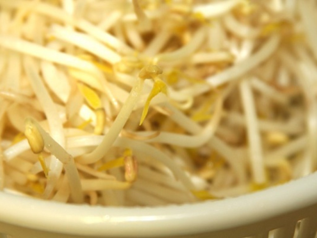 Spaghetti ai germogli di soia