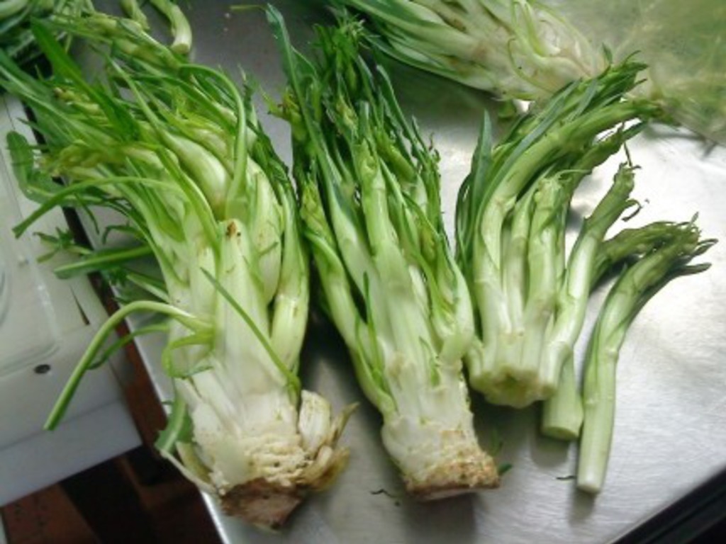 Puntarelle con salsa di alici di Checchino