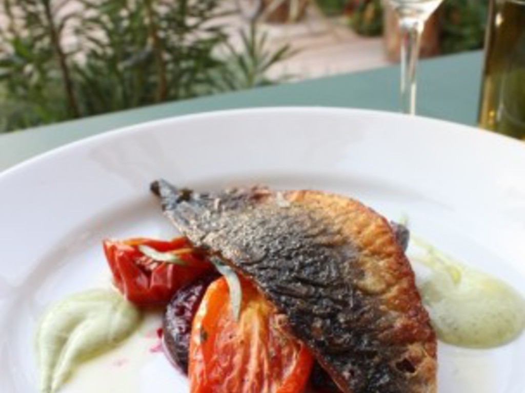 Sgombro affumicato, pomodoro passito, rapa rossa arrostita e maionese all' erba brusca.
