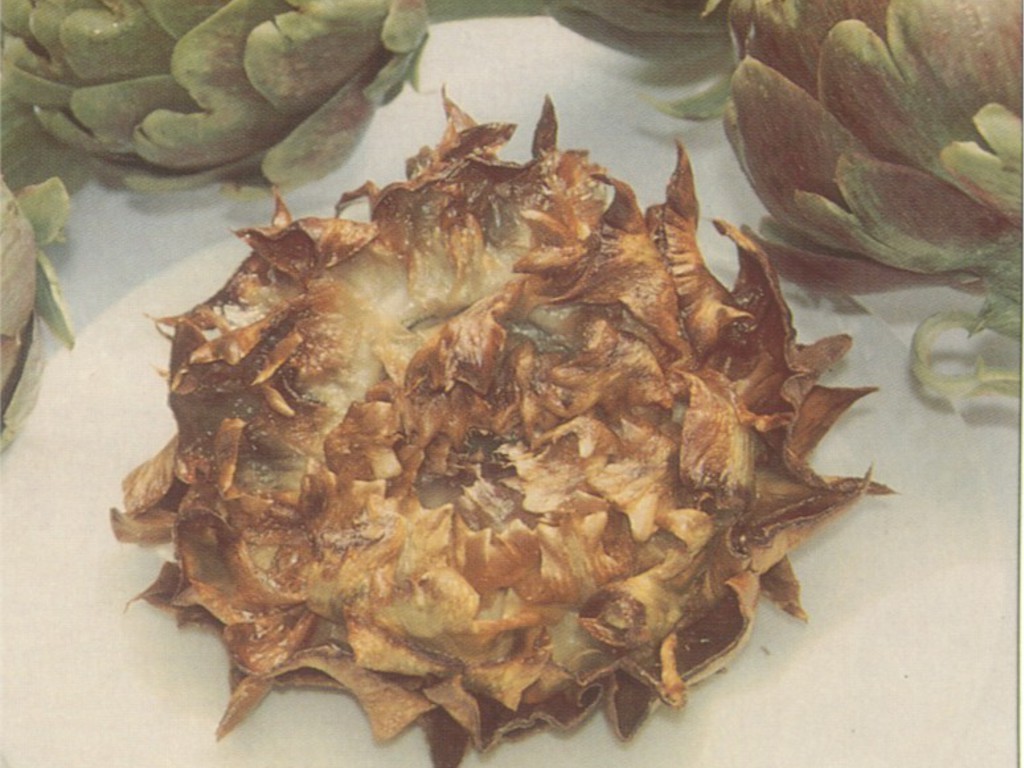 Carciofi alla Giudia