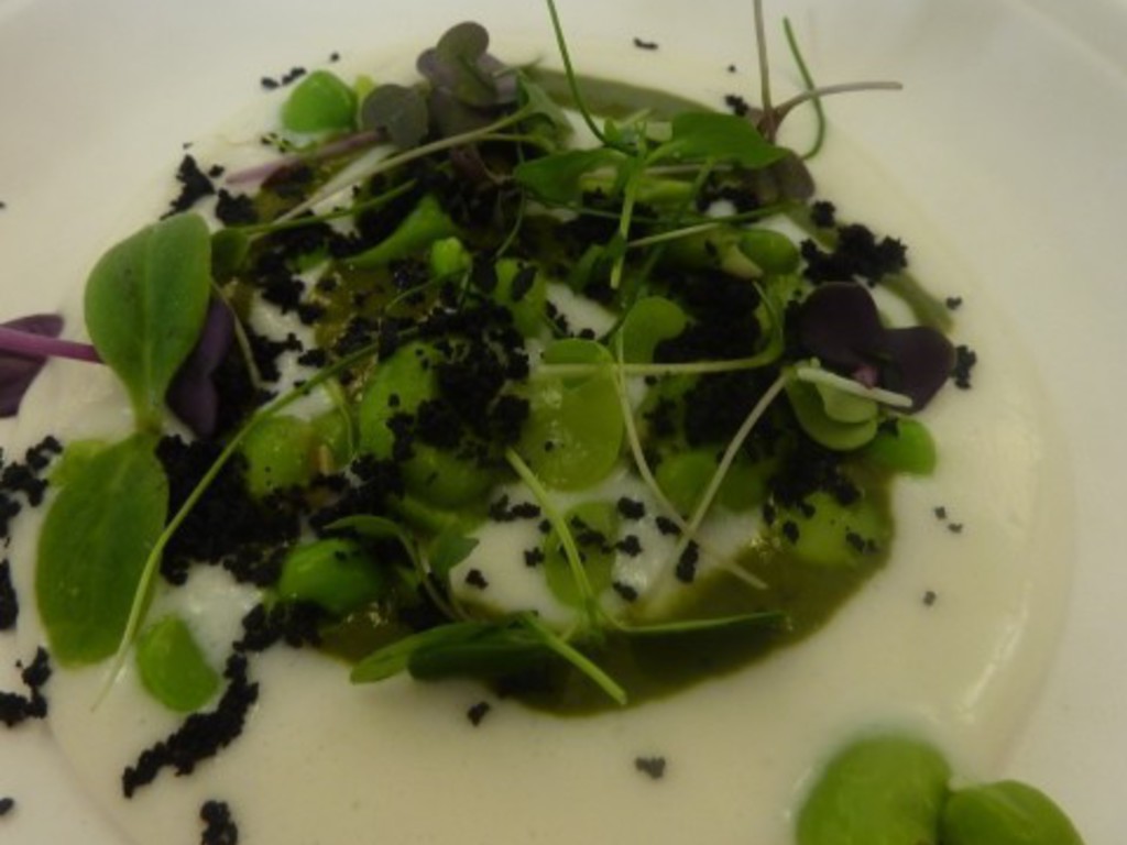 Crema di Grana Padano al basilico, fave, piselli, germogli e polvere di olive