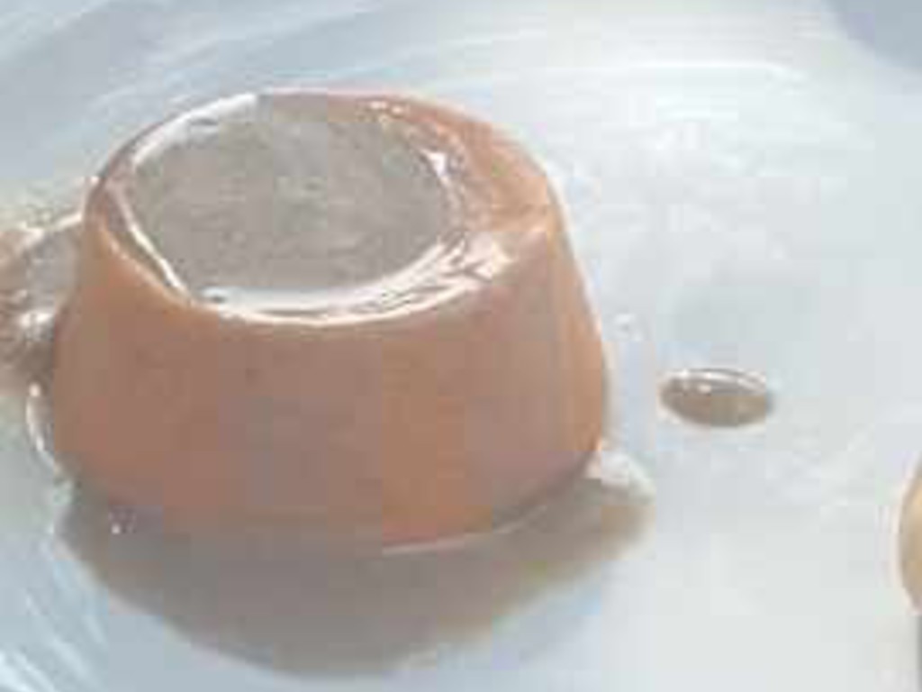 Flan di peperoni e Bagna Cauda
