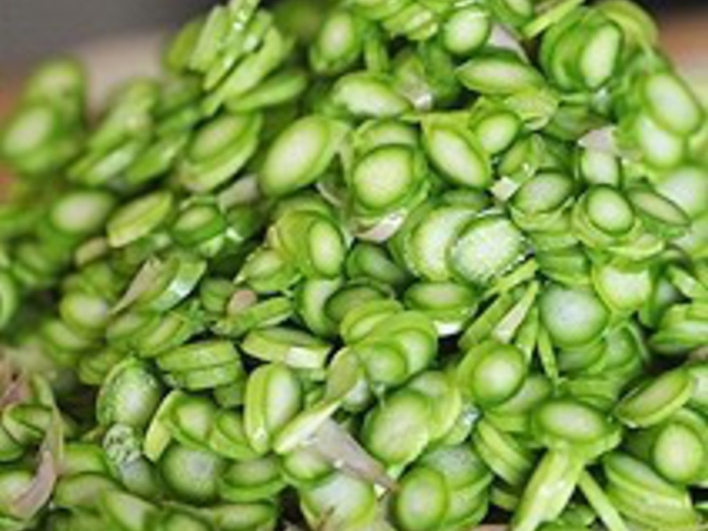 Insalata di asparagi, con capperi e pinoli