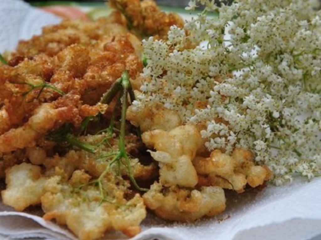 Fiori di sambuco fritti