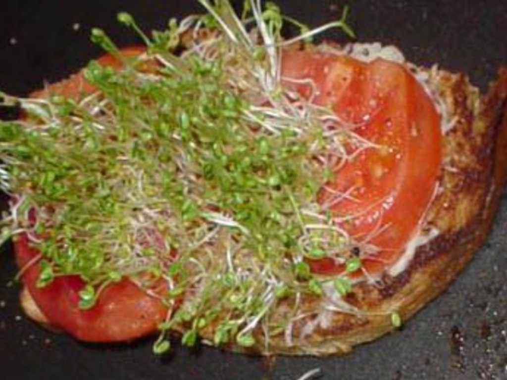 Sandwich Copacabana