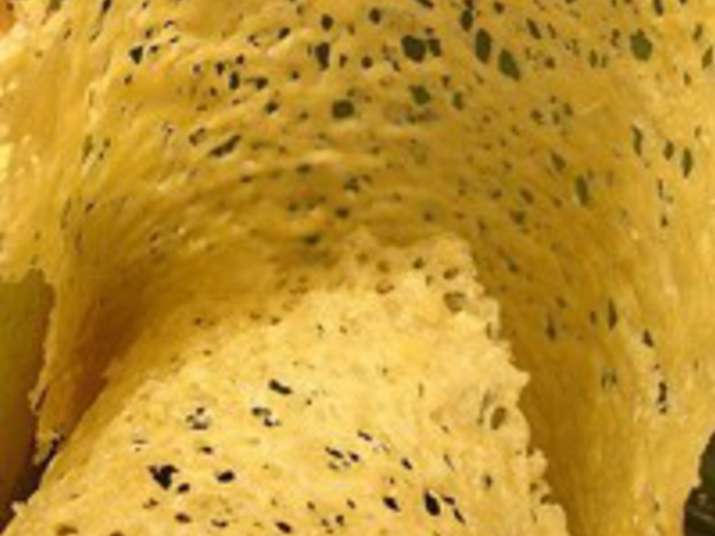 Tegole di parmigiano