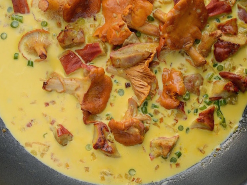 Frittata di finferli   