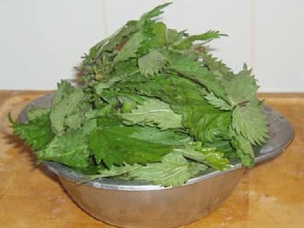 Frittata di ortiche   