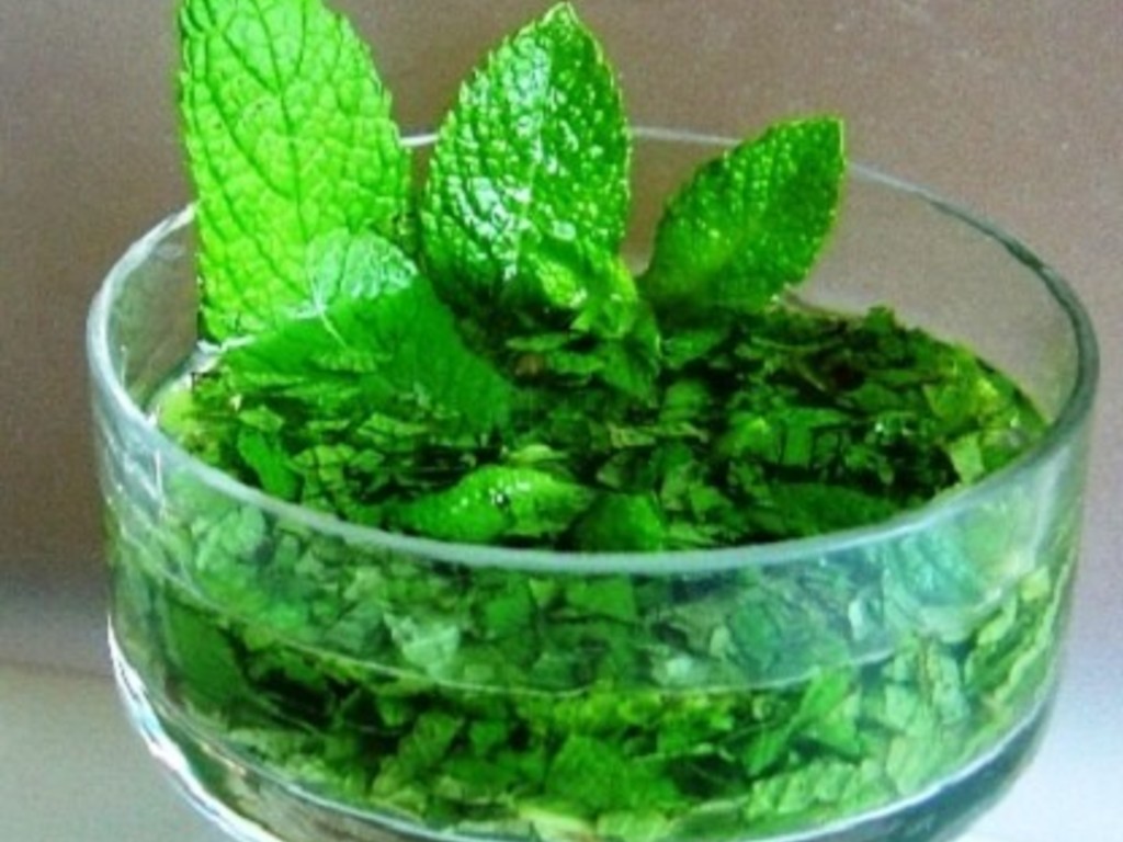 Salsa di menta   