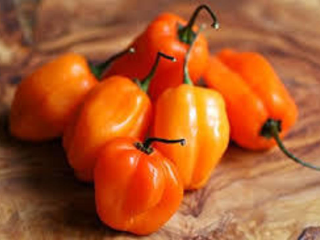 Salsa piccante della Florida   