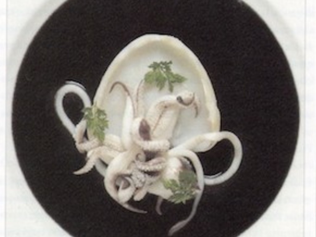 Seppia al nero, 1983
