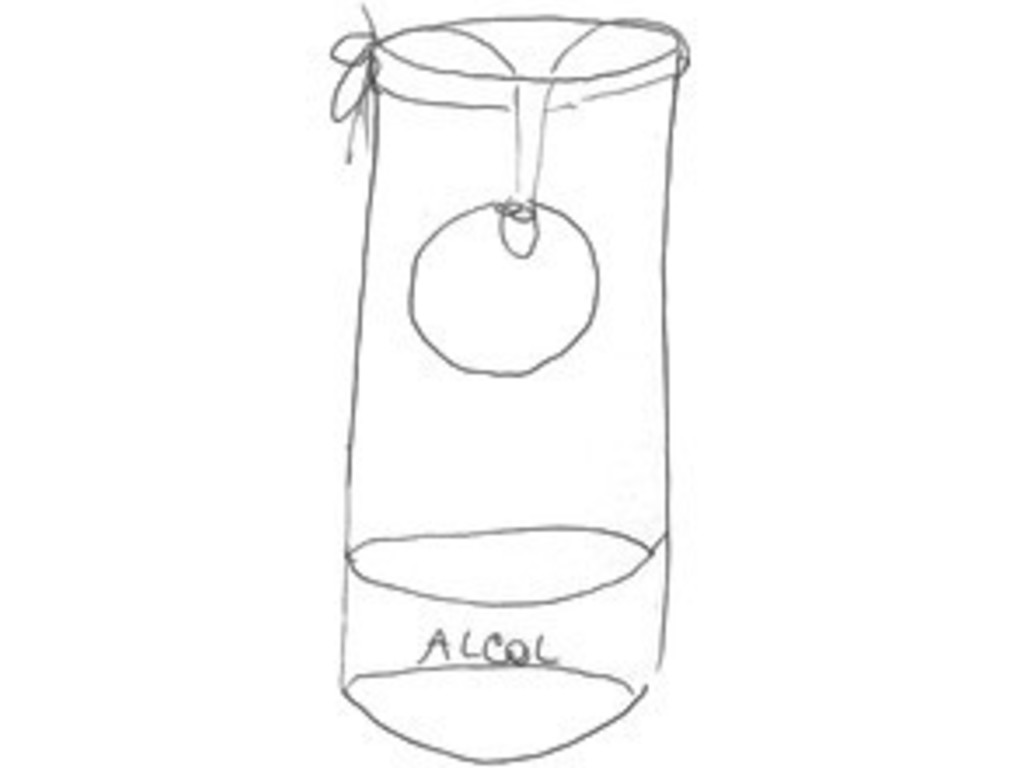 Liquore all' arancia "sospesa" 