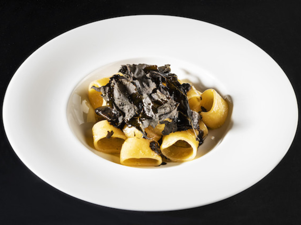 Mezzi paccheri con totano, Tuma persa e bieta croccante
