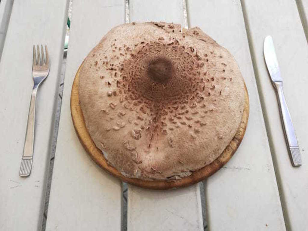 Mazze di tamburo alla griglia
