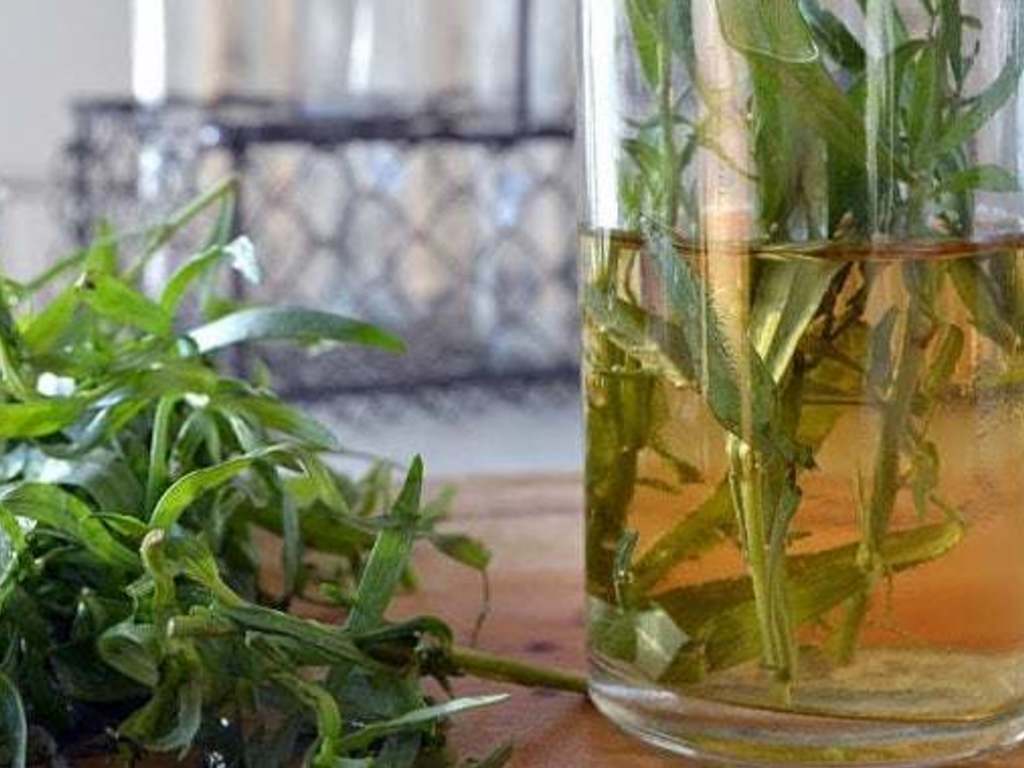 Aceto al dragoncello