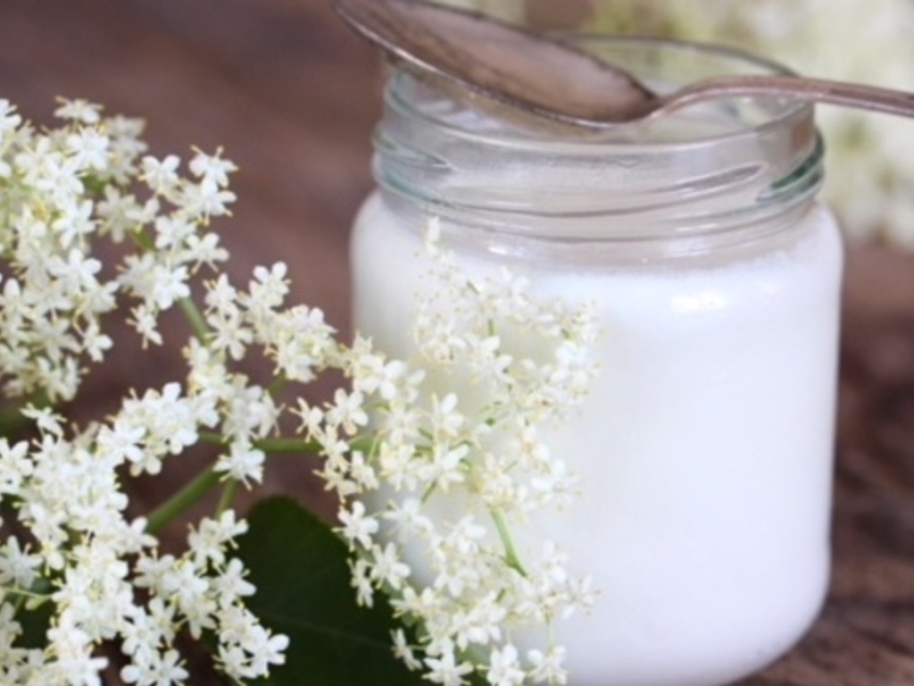 Mousse di cioccolato bianco profumata ai fiori  di sambuco