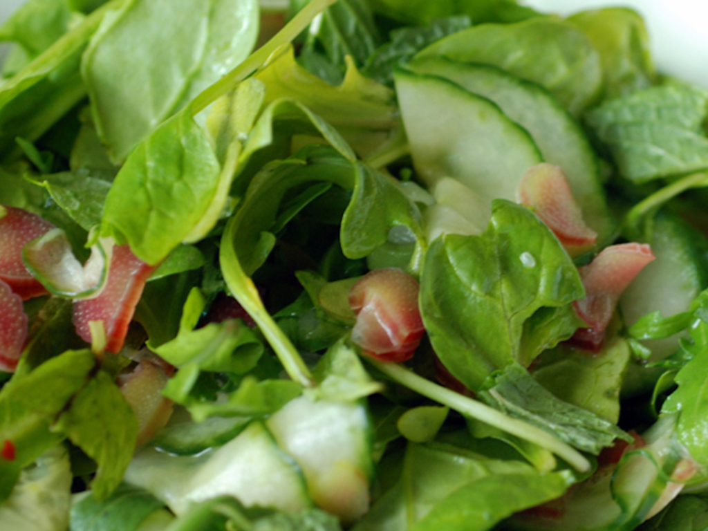 Insalata di rabarbaro, cetrioli, rucola, spinacini e menta 